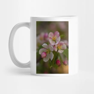 Blossoms Mug